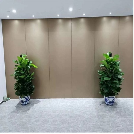 辦公室綠植綠蘿租擺公司