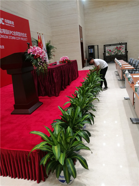 矮牽牛冬天怎么養(yǎng)？注意這5個(gè)養(yǎng)護(hù)細(xì)節(jié)，就能安全越冬！